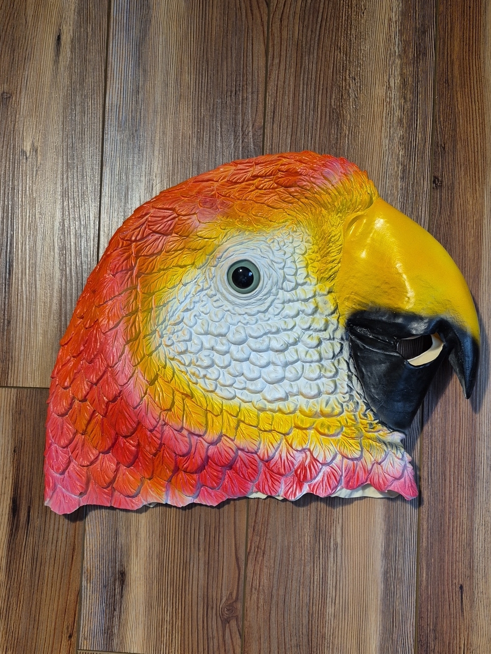 Adult Colorful Macaw Parrot Rubber Bird Mask - Halloween / Jimmy Buffet Fans